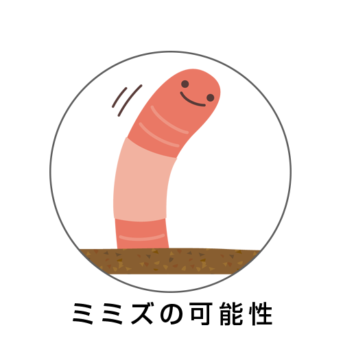 ミミズの可能性